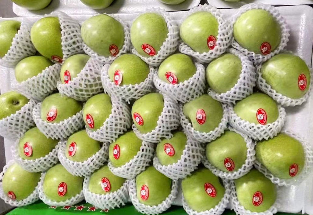 青秦冠