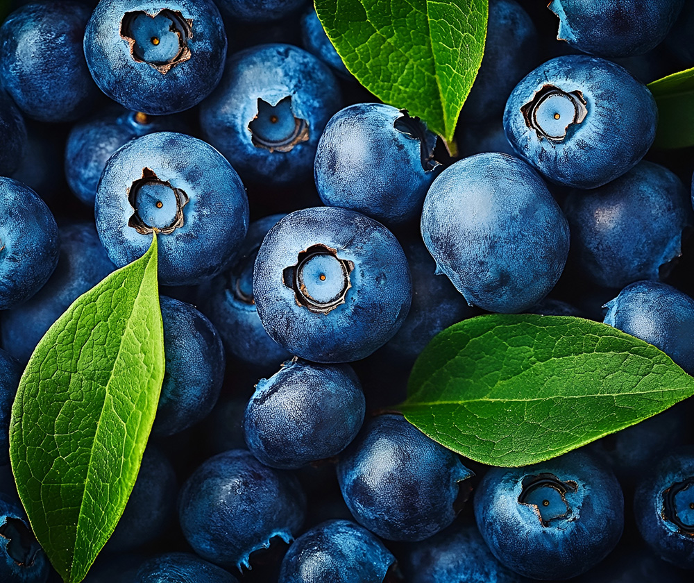 Blueberry