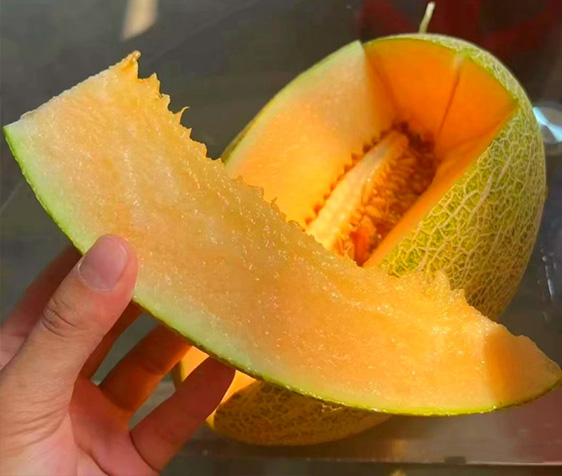 Hami Melon