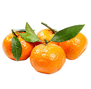 Sugar Mandarin
