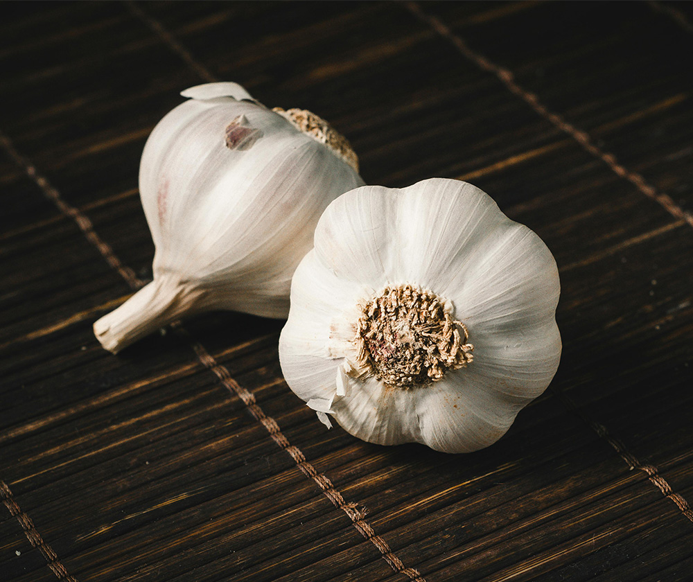 Garlic