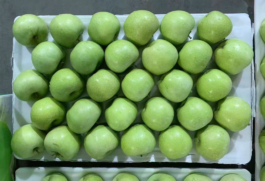青秦冠1