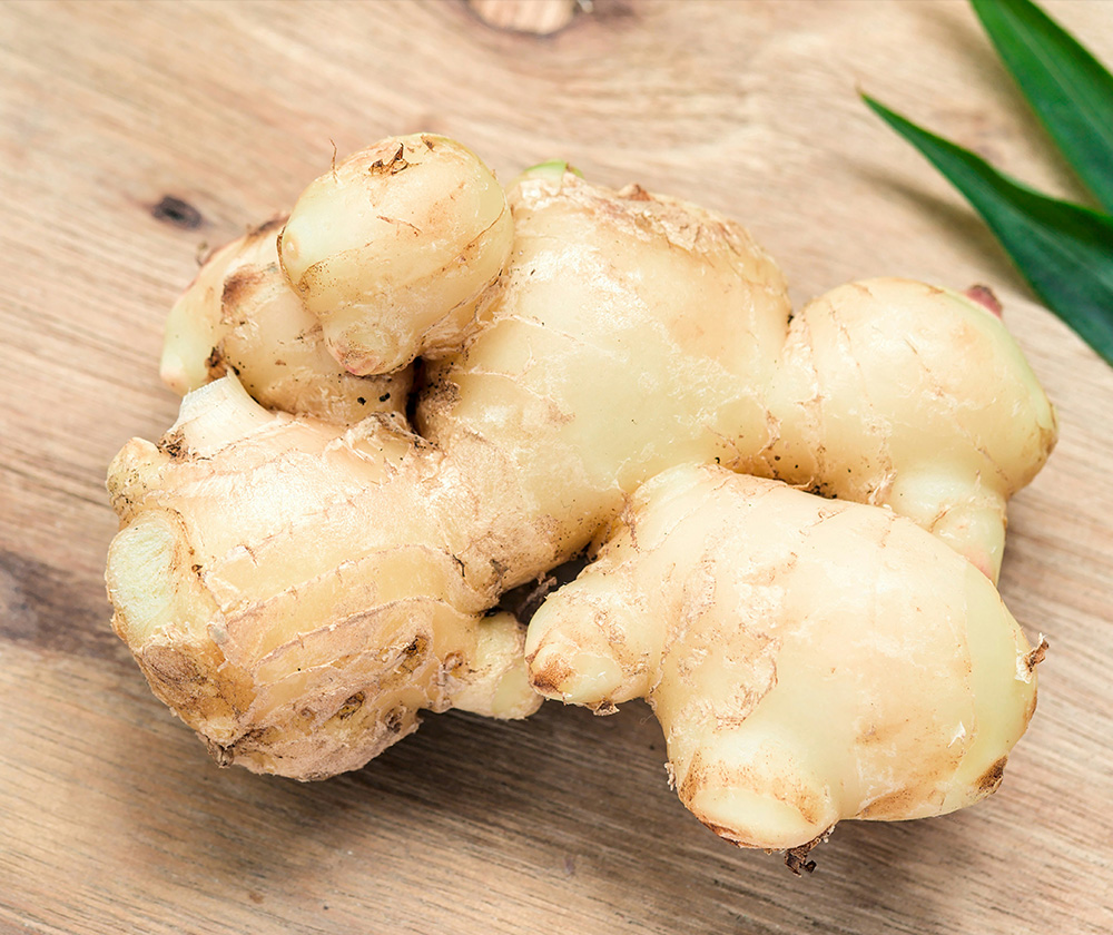 Ginger