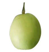 Shandong pear